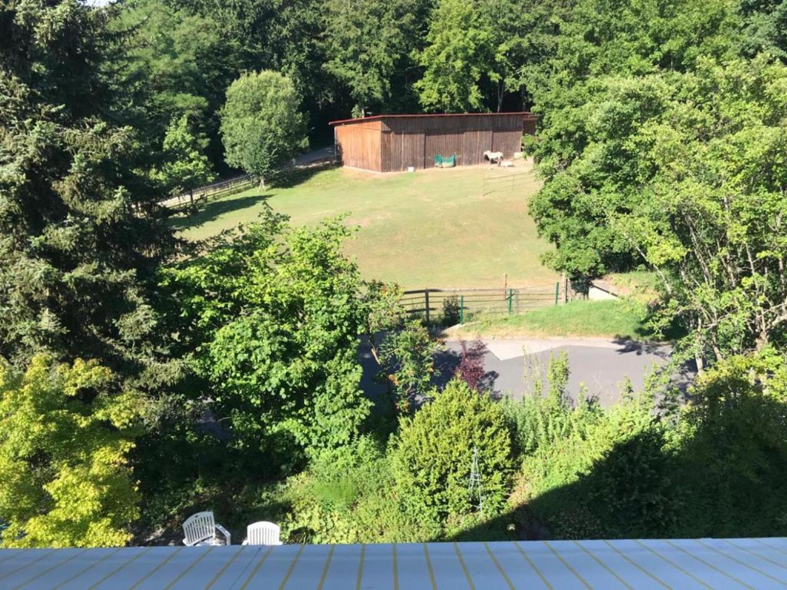 Pension-Ferienwohnung Liesbachtal Direkt Am Waldrand Bayerische Rhoen Schönau an der Brend Quarto foto
