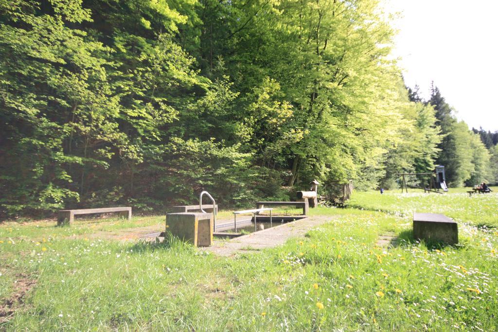 Pension-Ferienwohnung Liesbachtal Direkt Am Waldrand Bayerische Rhoen Schönau an der Brend Exterior foto