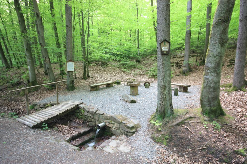 Pension-Ferienwohnung Liesbachtal Direkt Am Waldrand Bayerische Rhoen Schönau an der Brend Exterior foto